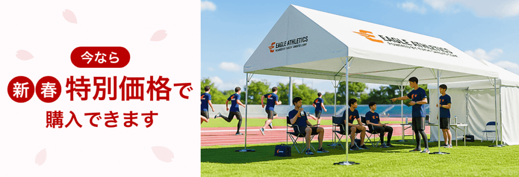 今なら新春特別価格で購入できます